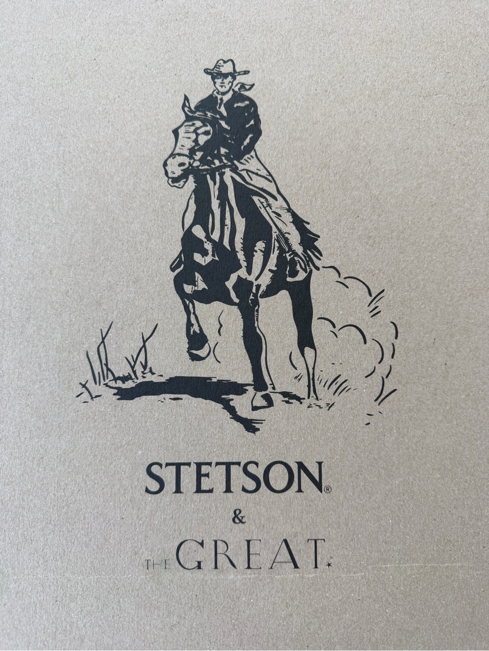 THE GREAT x Stetson Tan Floral Suede Cowboy Boots - Picture 4 of 6